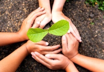 Pourquoi vouloir prendre soin de la nature ?